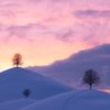 hills, winter, sunset